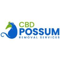 CBD Possum Removal Melbourne image 4